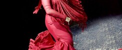 Flamencaval - L'école flamenco du Valenciennois