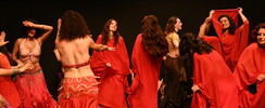 Ibtissem - Cours de danse orientale à Toulouse et Montech