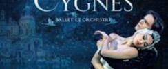 Le Lac des Cygnes - Ballet & Orchestre - Paris & Tournée 2026
