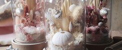 Rose Mai - Atelier de fleurs séchées : couronnes, cloches... DIY