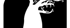 Association L'arbre Palabres - Danse et Percussion Africaine et Afro-Caraibeenes