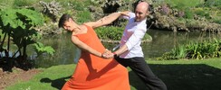 Cie Impulsion - spectacles et interventions musicales dansés et joués