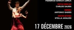 Noces de Sang - Un ballet d'Antonio Gades & Carlos Saura - Bourse du Travail - Lyon