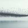 Murmuration* Stage d’improvisation voix et corps