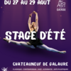 Stage d'été Art de la danse