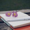Ecriture et mise en voix
